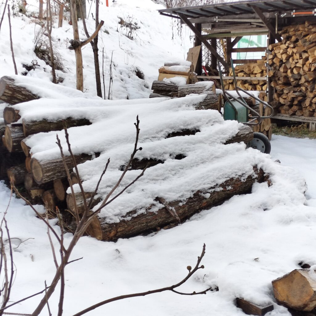 積み上げられた薪の原木。 | 農楽里ファーム