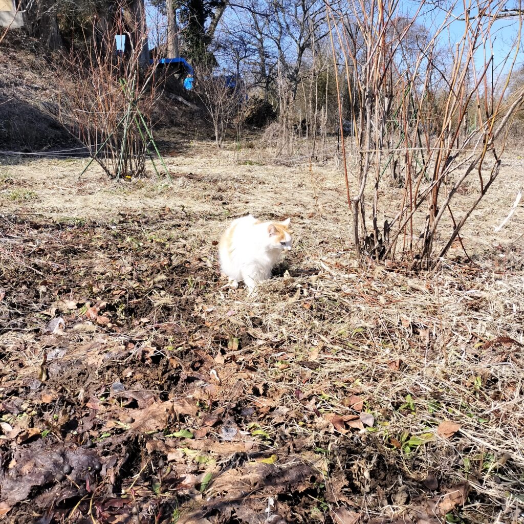 春の陽気に誘われて！