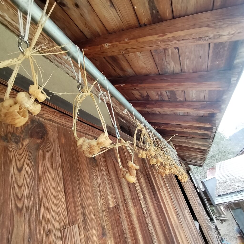 凍み大根が仕上がりました！