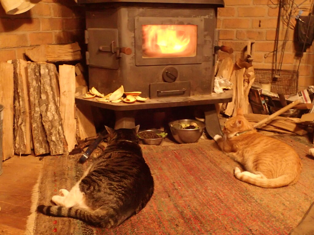 束の間の休戦！？