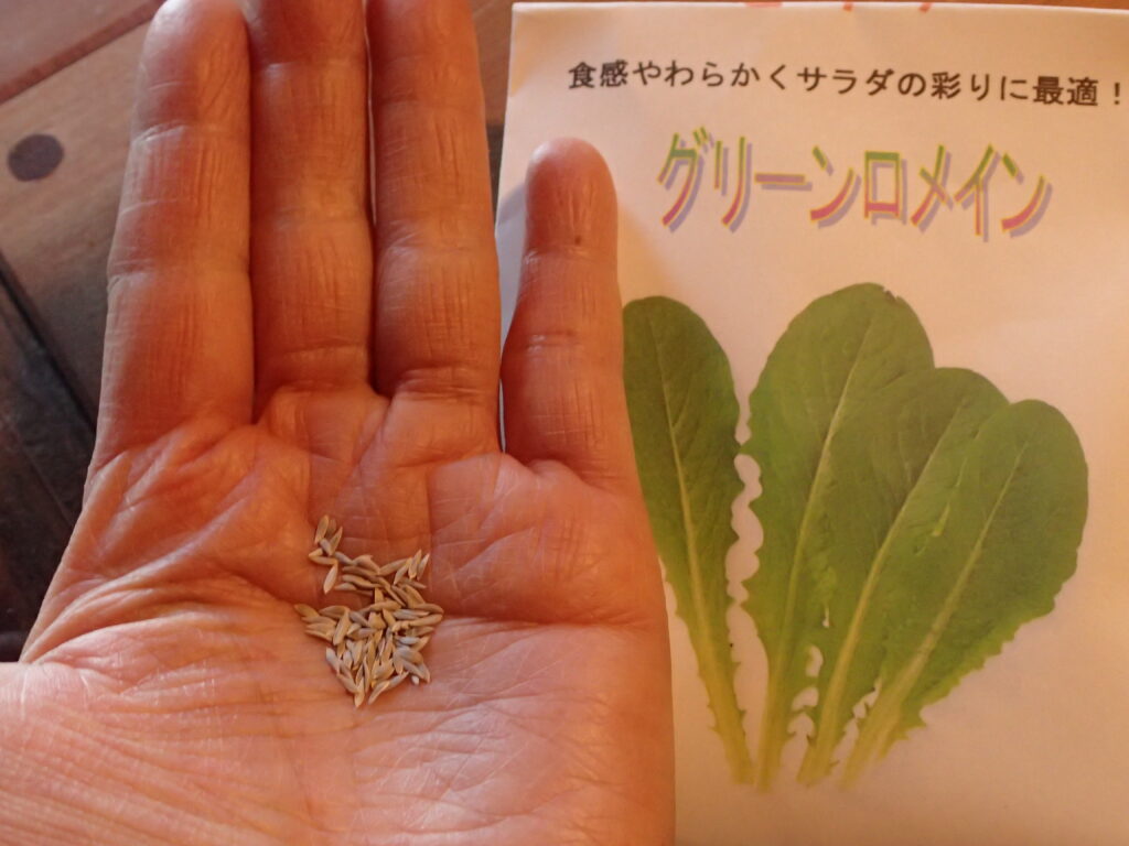 今年の苗作りをスタートです！