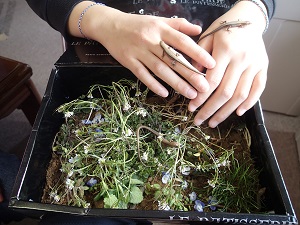 OLYMPUS DIGITAL CAMERA