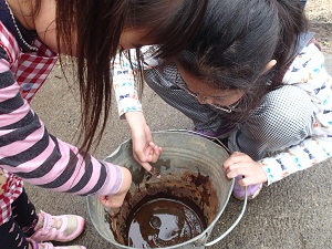 OLYMPUS DIGITAL CAMERA