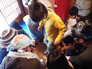 OLYMPUS DIGITAL CAMERA