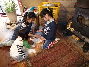 OLYMPUS DIGITAL CAMERA