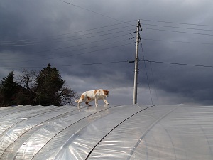 OLYMPUS DIGITAL CAMERA