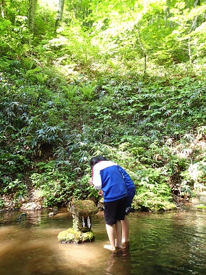 OLYMPUS DIGITAL CAMERA