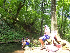 OLYMPUS DIGITAL CAMERA