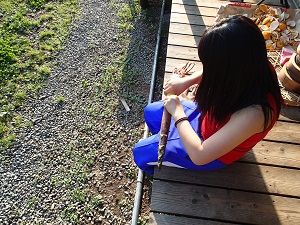 OLYMPUS DIGITAL CAMERA