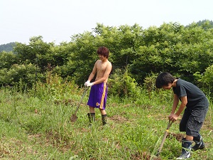 OLYMPUS DIGITAL CAMERA