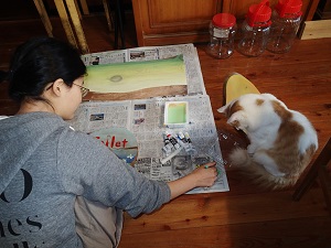 OLYMPUS DIGITAL CAMERA