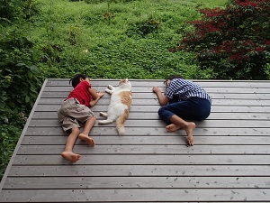 OLYMPUS DIGITAL CAMERA