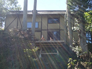 OLYMPUS DIGITAL CAMERA