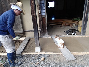 OLYMPUS DIGITAL CAMERA