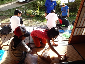 OLYMPUS DIGITAL CAMERA