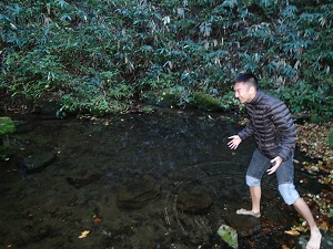 OLYMPUS DIGITAL CAMERA