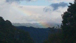 垣下さんの写真2b